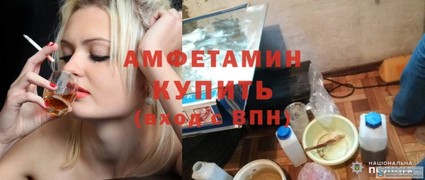 индика Козловка