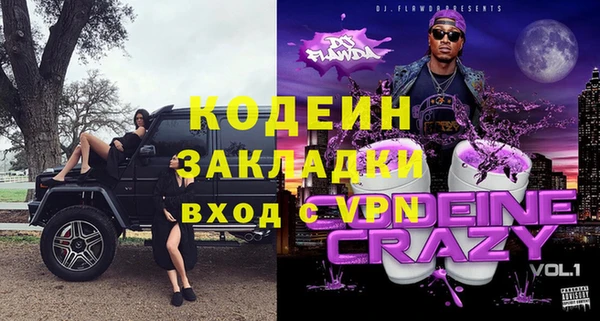 индика Козловка