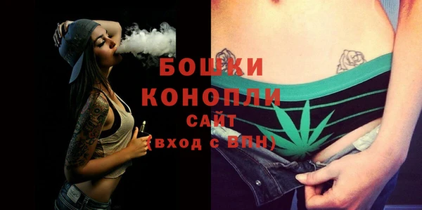 индика Козловка