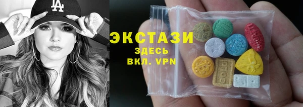 индика Козловка