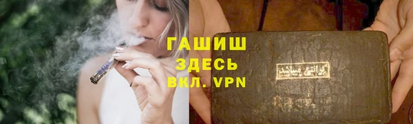 индика Козловка
