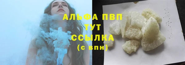индика Козловка
