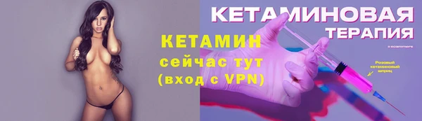 индика Козловка
