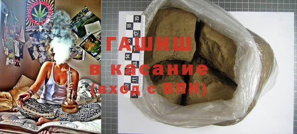 индика Козловка