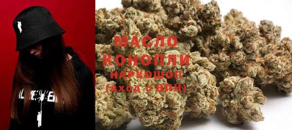 индика Козловка