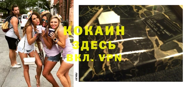 индика Козловка