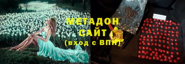 индика Козловка