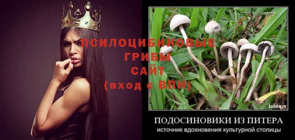 индика Козловка