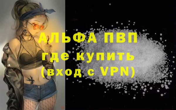 spice Кодинск